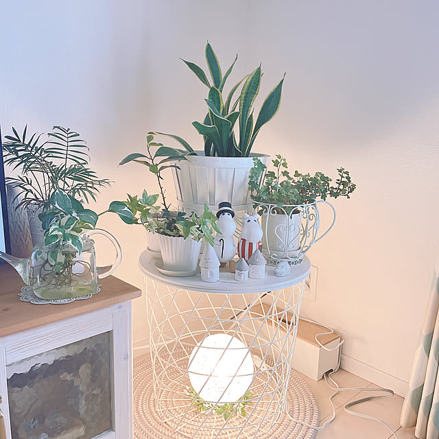 akiko-ovさんの部屋