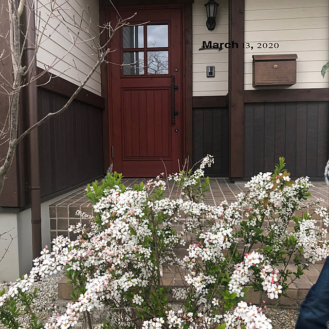 miyaさんの実例写真