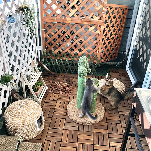 paradise_viewさんの実例写真