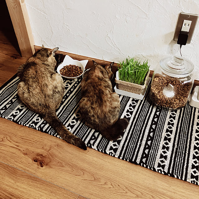 Eile_さんの実例写真