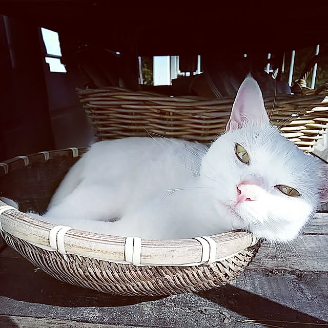 weさんの実例写真