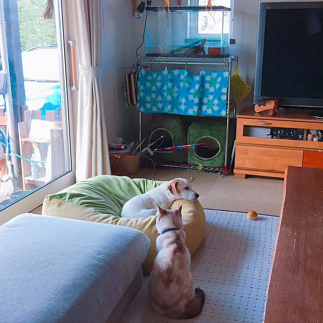 nanaさんの実例写真