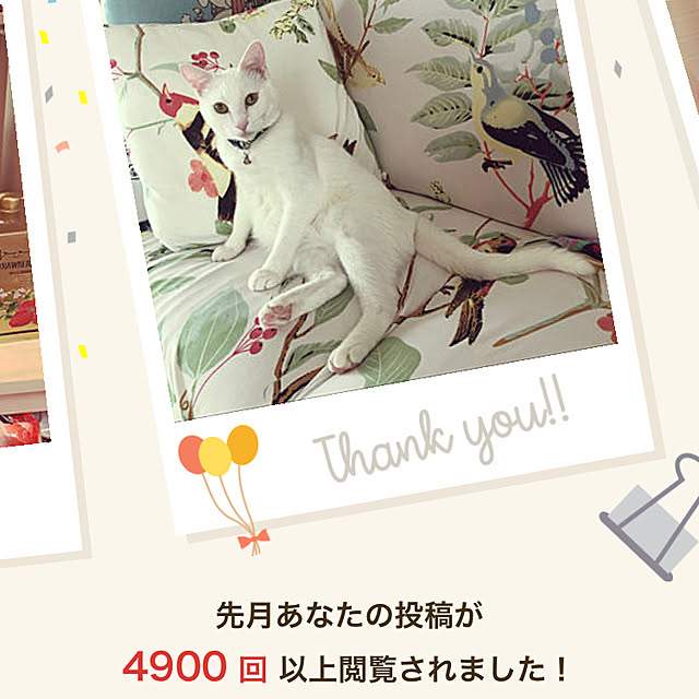 moyuhiさんの実例写真