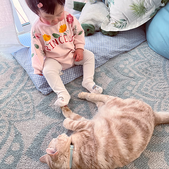 minekokko_usagiさんの実例写真
