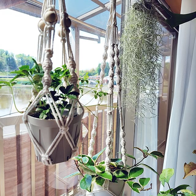 nachiさんの実例写真