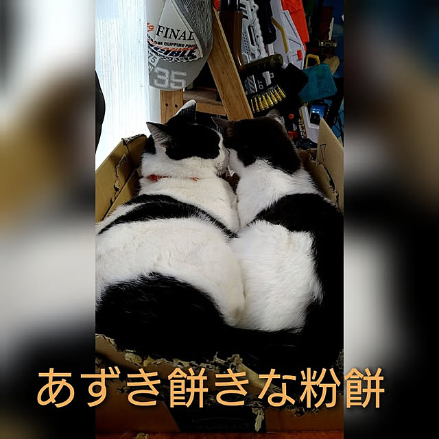 kiyohima229さんの実例写真