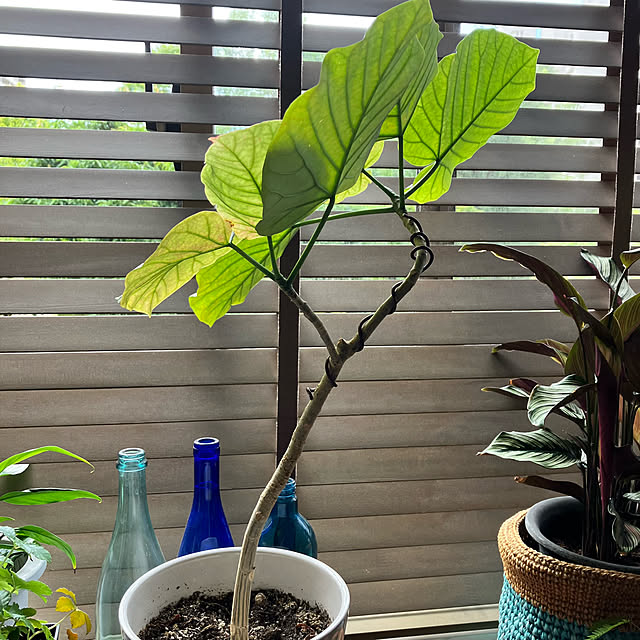 kan2さんの部屋