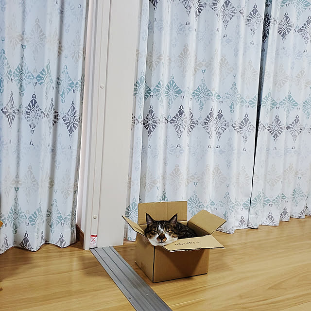yu-riさんの実例写真