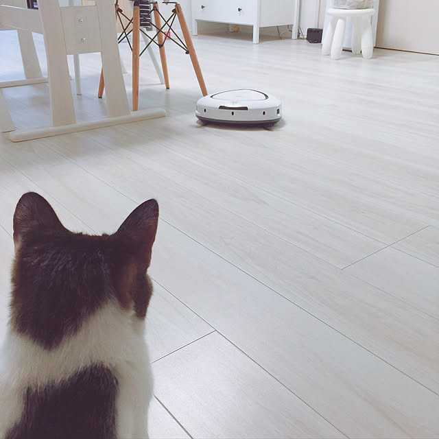 masakojiさんの実例写真