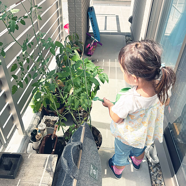 saorinさんの実例写真