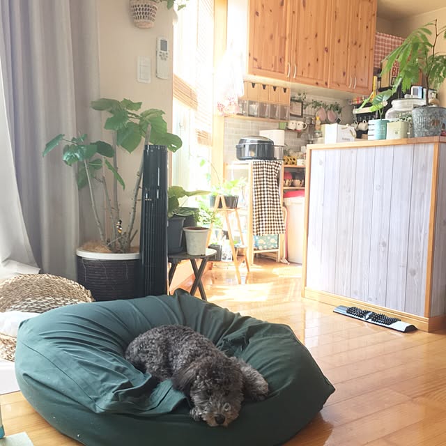 makoriさんの実例写真