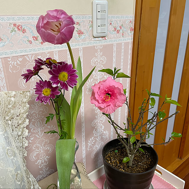kakoさんの実例写真