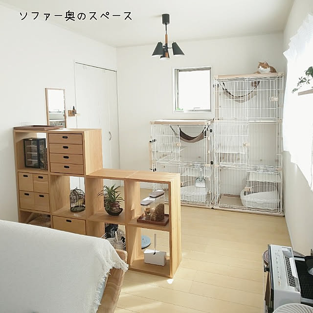 ayamameさんの実例写真