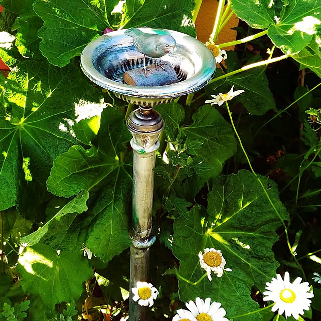 kikusukeさんの実例写真