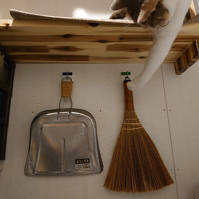 fukuさんの実例写真