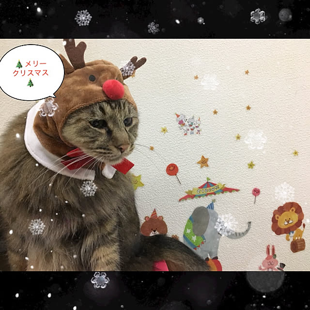 nanaさんの実例写真