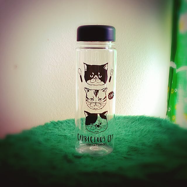 キッチン/猫のインテリア実例 - 2017-02-14 13:48:00