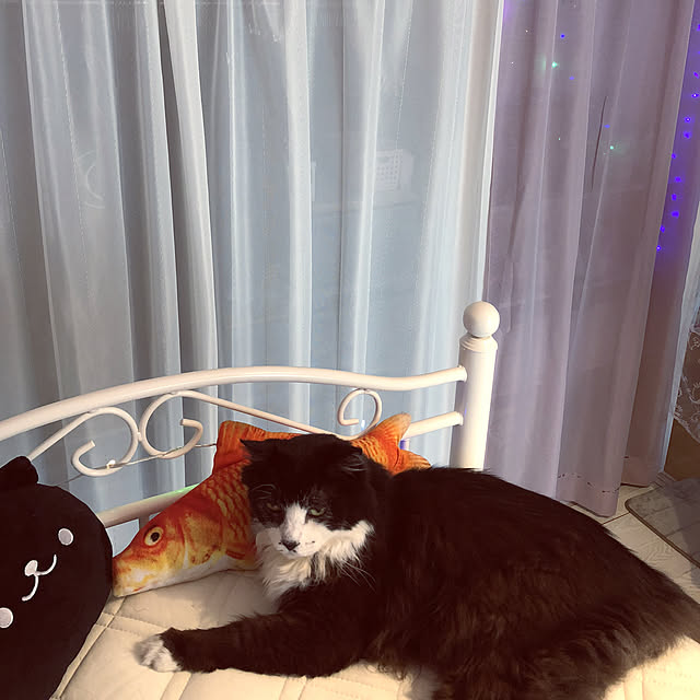 kanaさんの実例写真