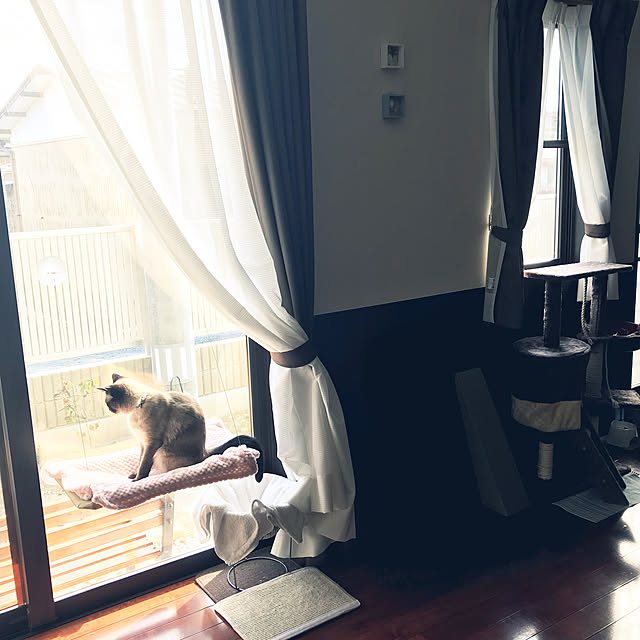 shi622さんの実例写真