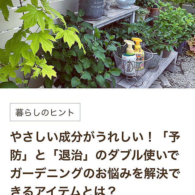 hanachanさんの部屋