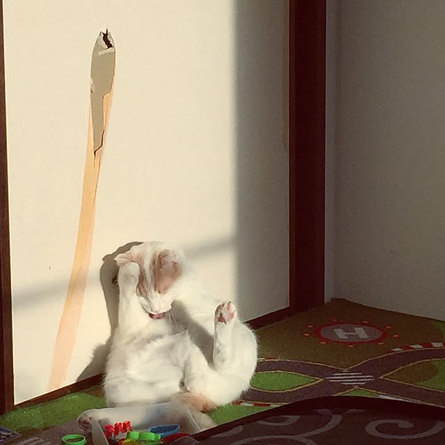 onojiijiさんの実例写真
