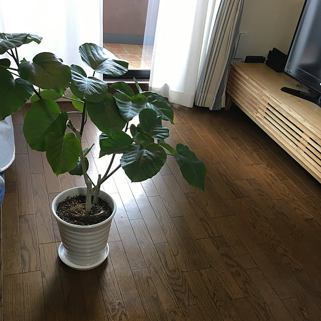 akezouさんの実例写真