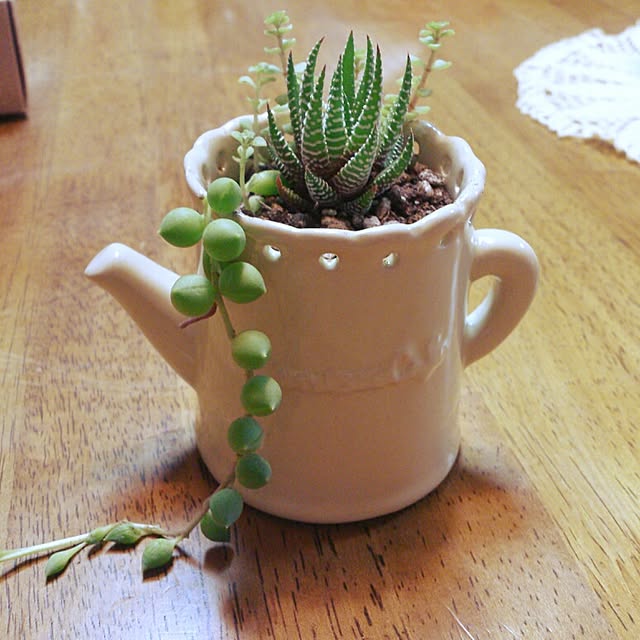 リビング/多肉植物/ハンドメイド/DIY/雑貨のインテリア実例 - 2014-03-31 20:28:28