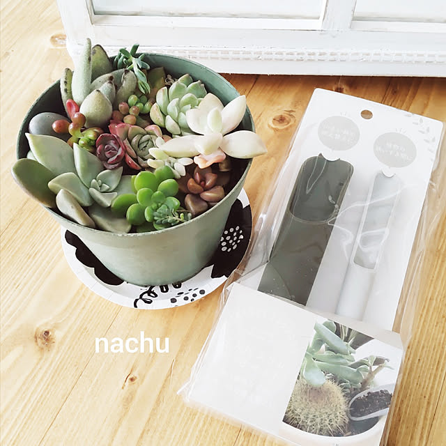 nachuさんの実例写真