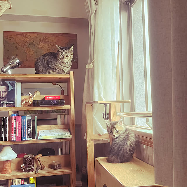 Mさんの部屋
