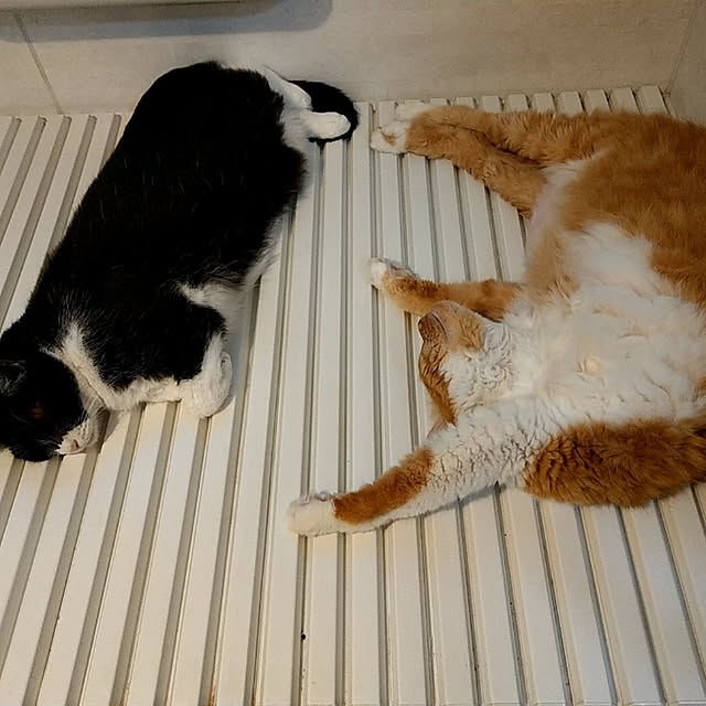aatan91241さんの実例写真