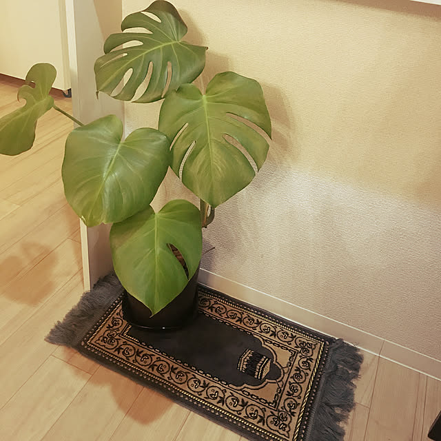 nanaさんの実例写真