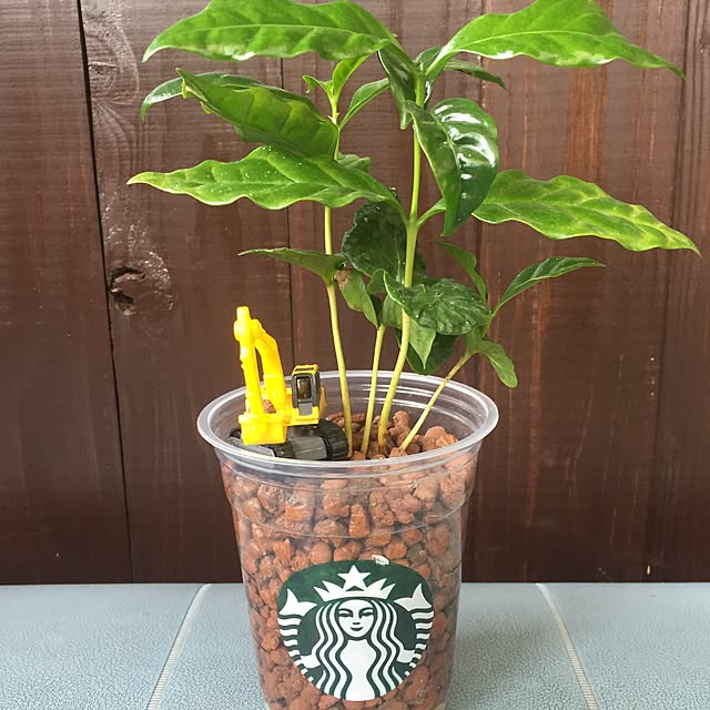 hrkさんの実例写真