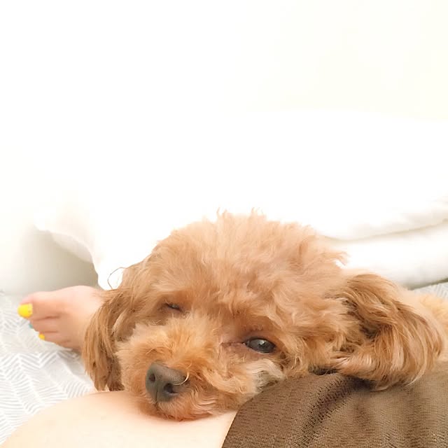 Momokoさんの実例写真