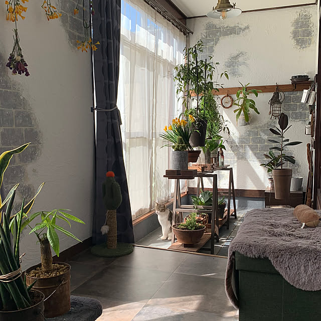 Mikazukiさんの部屋