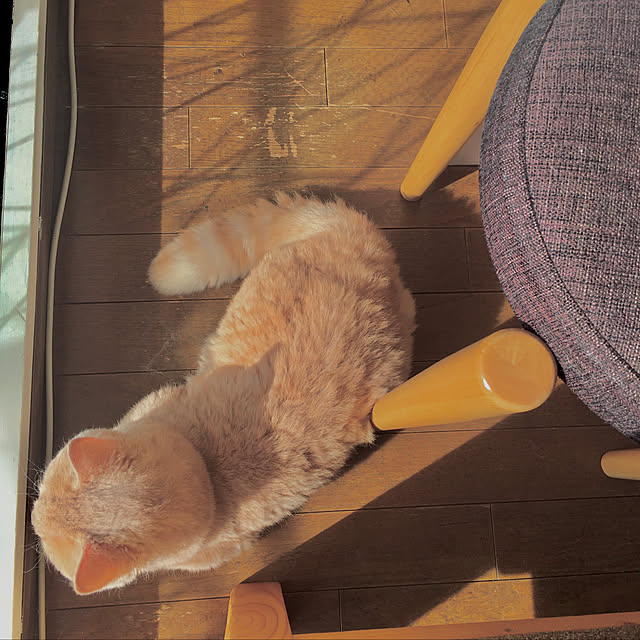 naokoさんの実例写真