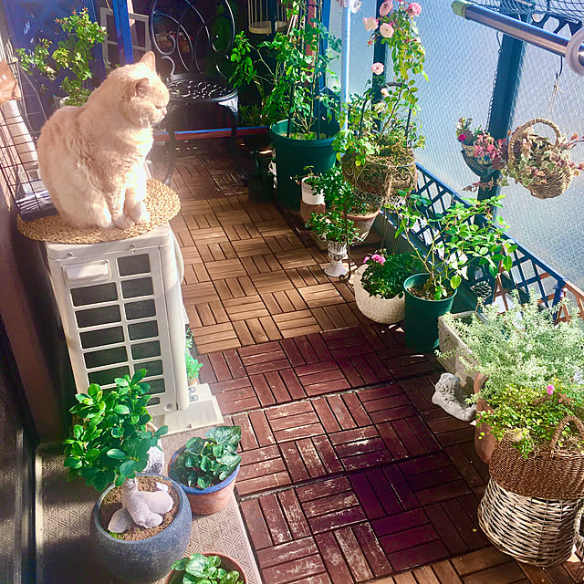 naokoさんの実例写真