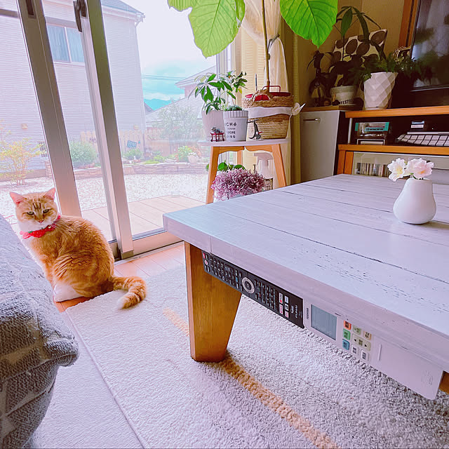 moolさんの実例写真