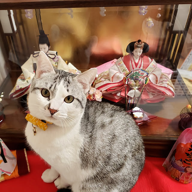 momo-maruさんの実例写真