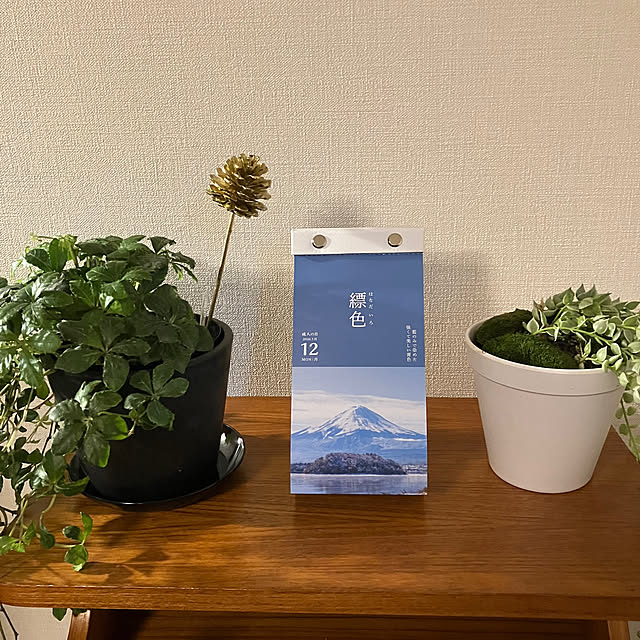 bamdraさんの実例写真