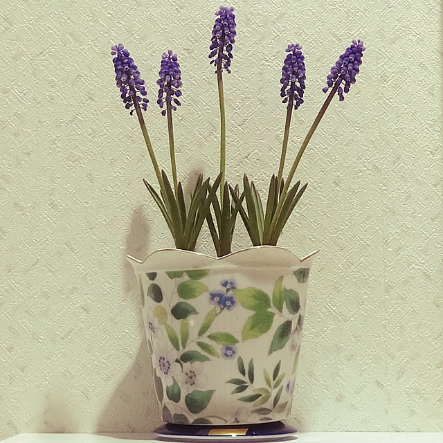 fuyiqian1026さんの実例写真