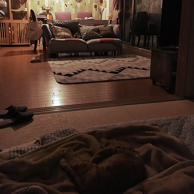 miyamiさんの実例写真