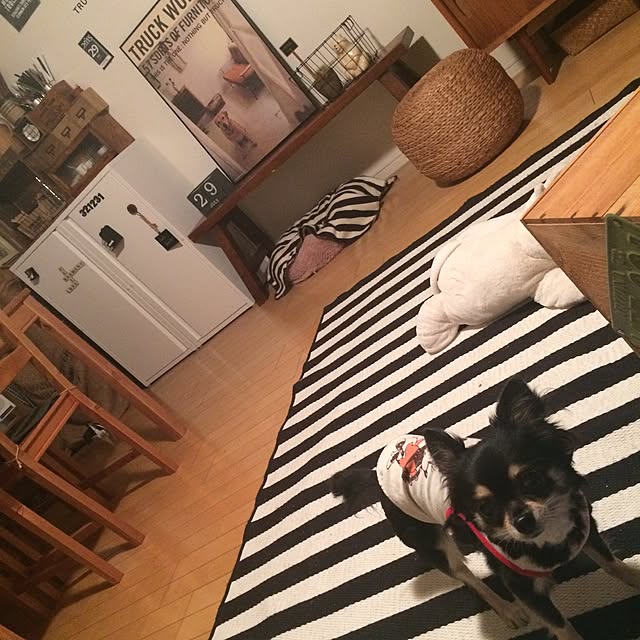 riechocoさんの実例写真
