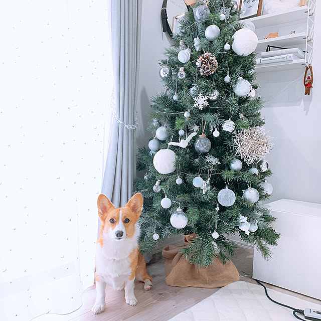 3ayuさんの実例写真