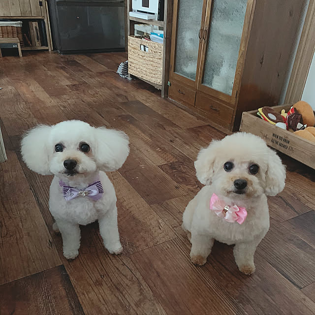 akko1205さんの実例写真
