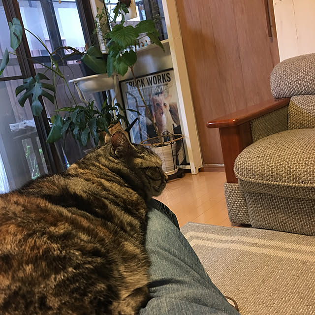 haruさんの実例写真