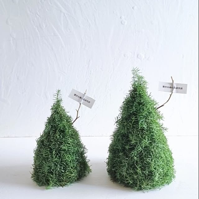 shituraeさんの部屋