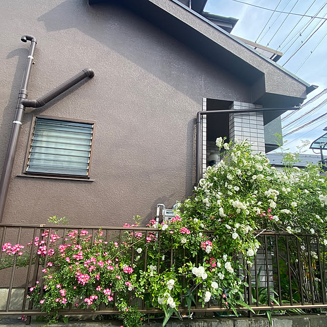kapiさんの部屋