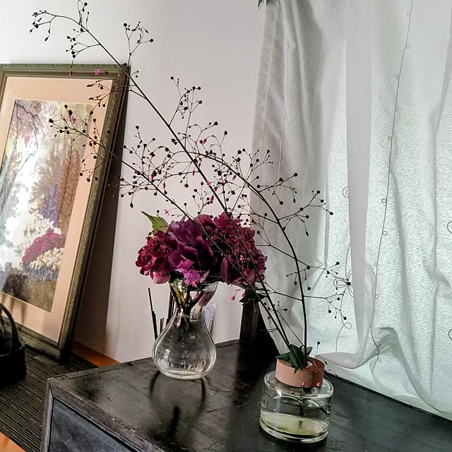 salacocoさんの部屋