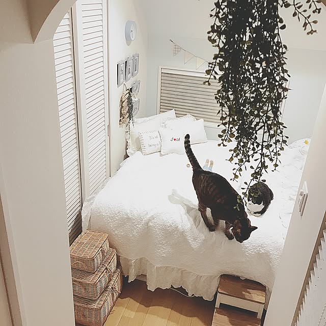 lovecatさんの実例写真
