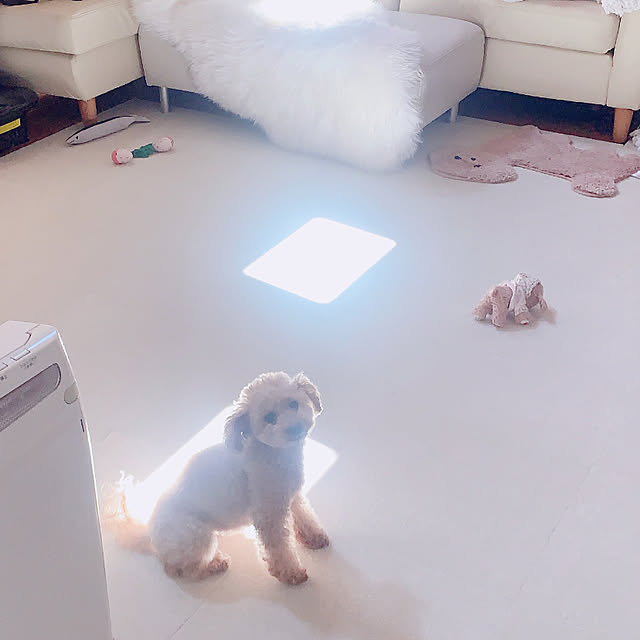 Momoさんの部屋